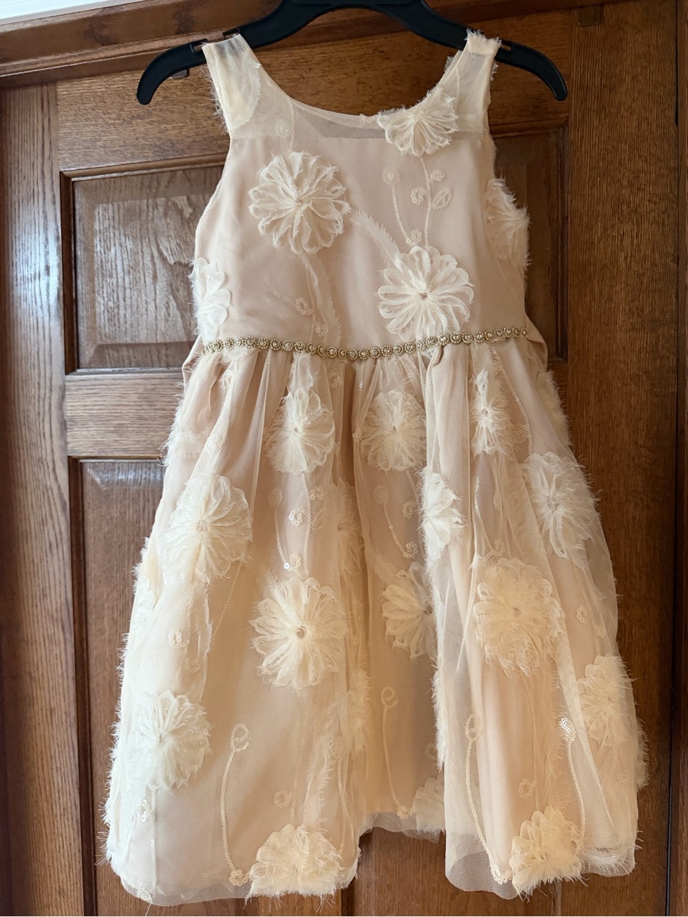 Kensie Girl Ivory Floral Tulle Dress with Embellished Waist